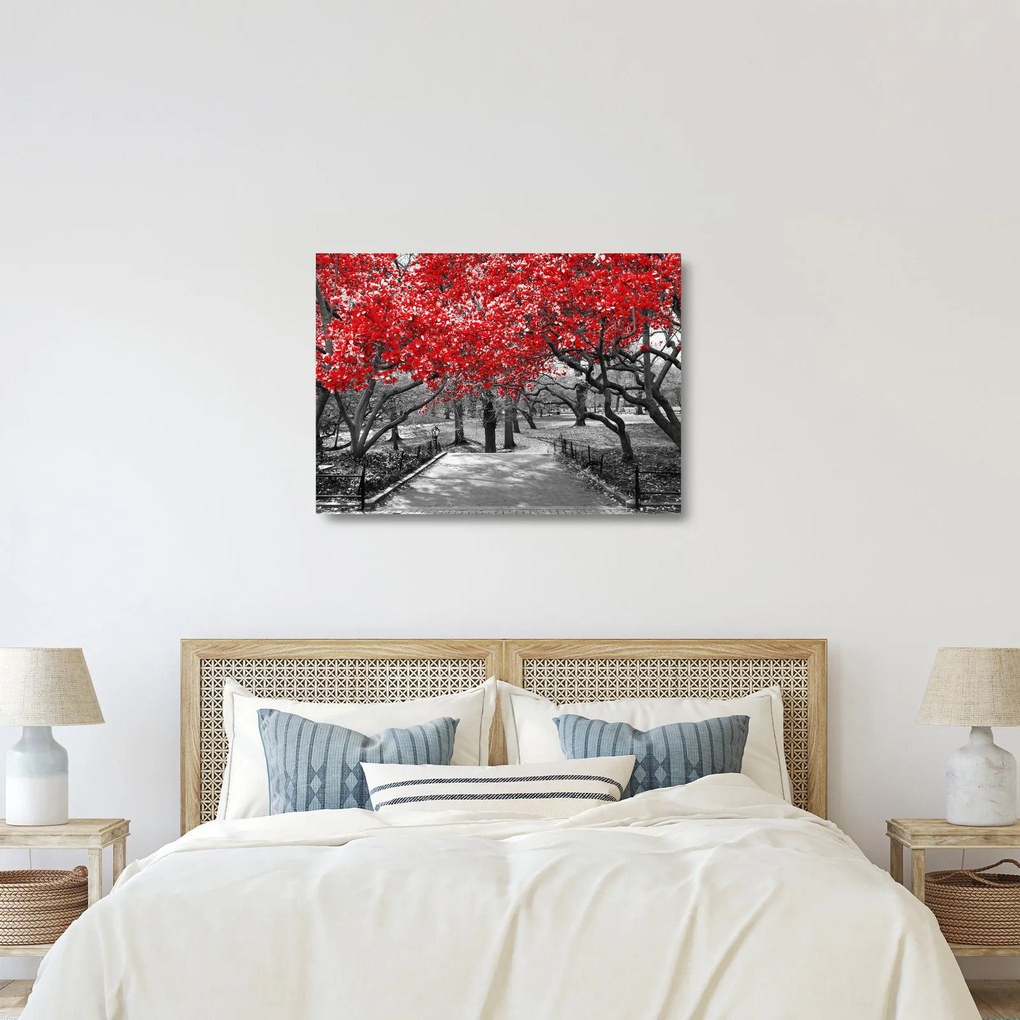 Kép - vörös fák,Central Park, New York (üvegen) (70x50 cm)