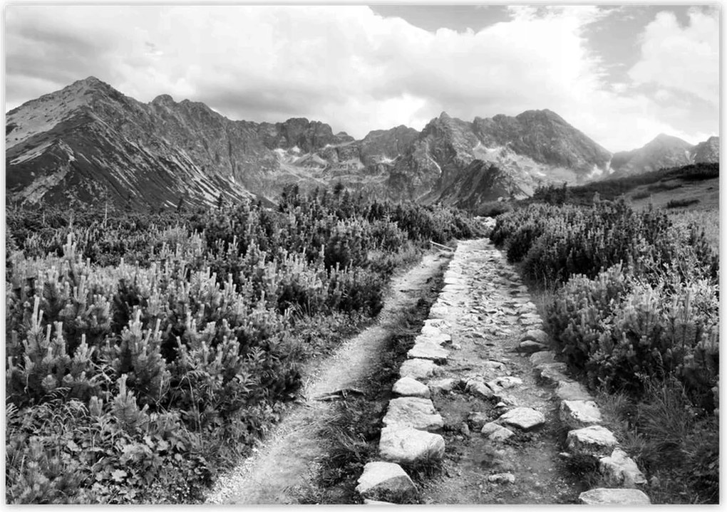 Poszterek 100x70 Tátra Lengyel hegyek Kilátás