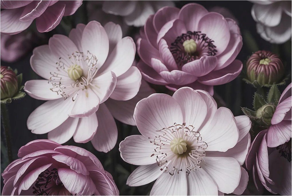 Fotótapéta Flizelina Dekoratív az irodába Virágos elegancia 104x70 Ragasztó