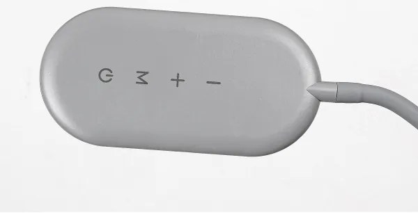 Rabalux 74010 - Állítható fényű LED érintős állólámpa ADELMO LED/10W/230V szürke