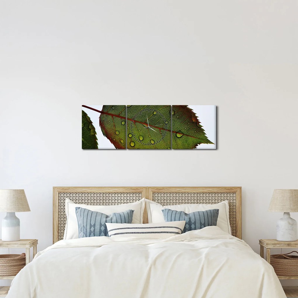 Kép - Rózsalevél (órával) (90x30 cm)
