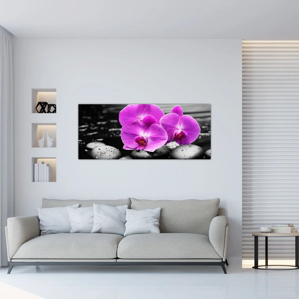 Kép - Lila orchideák (120x50 cm)