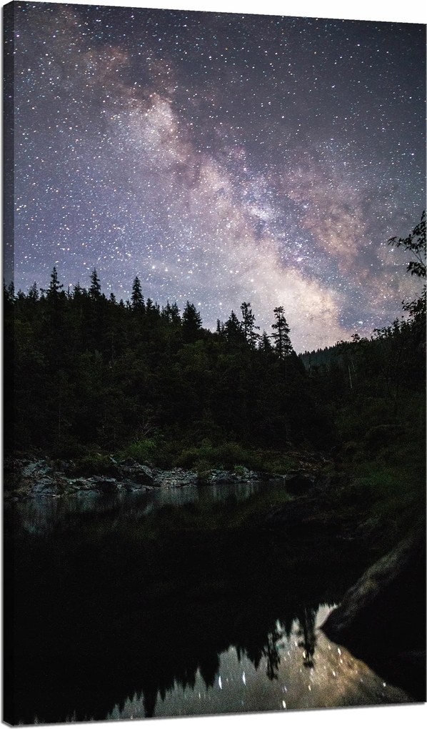 Vászonkép Kozmosz Ég a tóparton 70x120