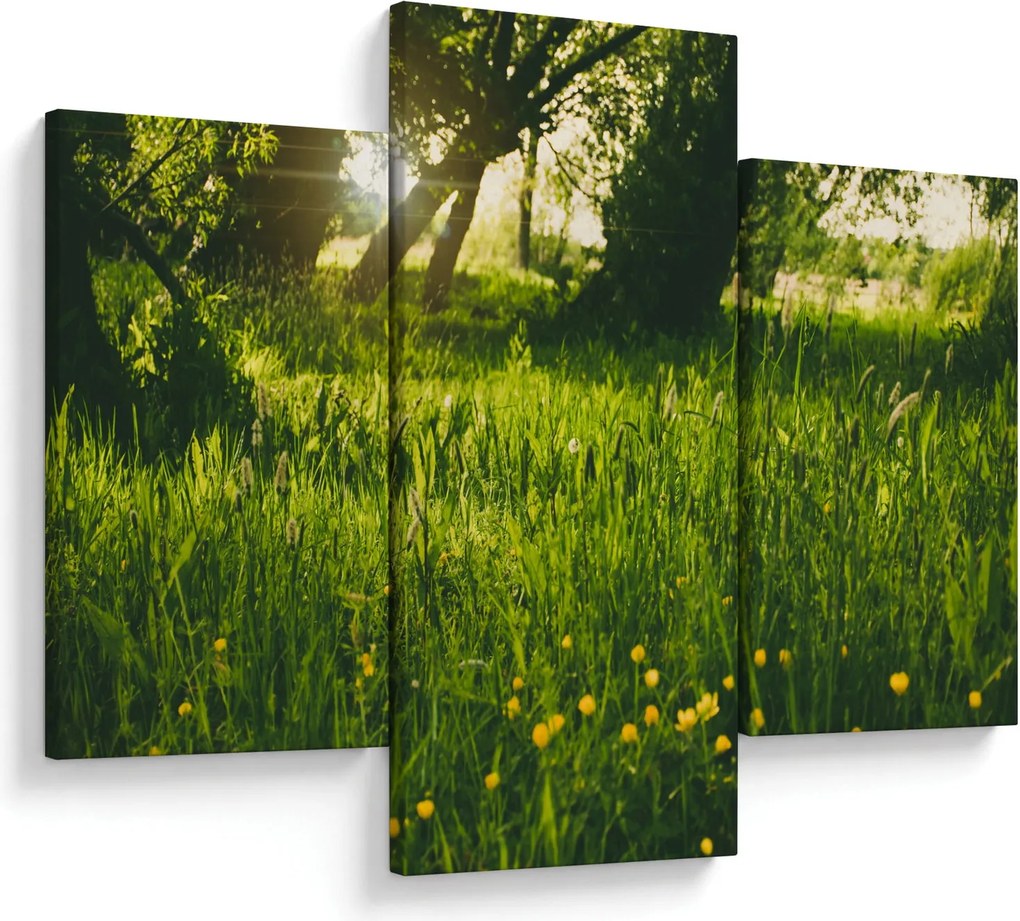Tájkép - rét (90x60 cm)