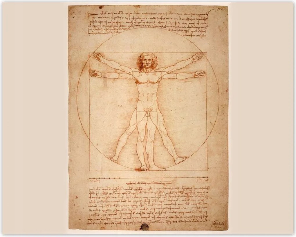 Poszterek 50x40 Vitruvius ember