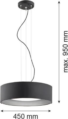 ARGON 1214 MOHITO Ernyős Függesztett Lámpa Fekete, Ezüst E27 IP20