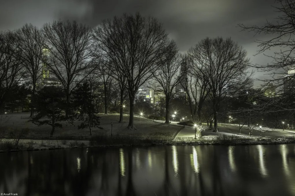 Poszter 30x20cm Central Park éjszaka 2, Assaf Frank