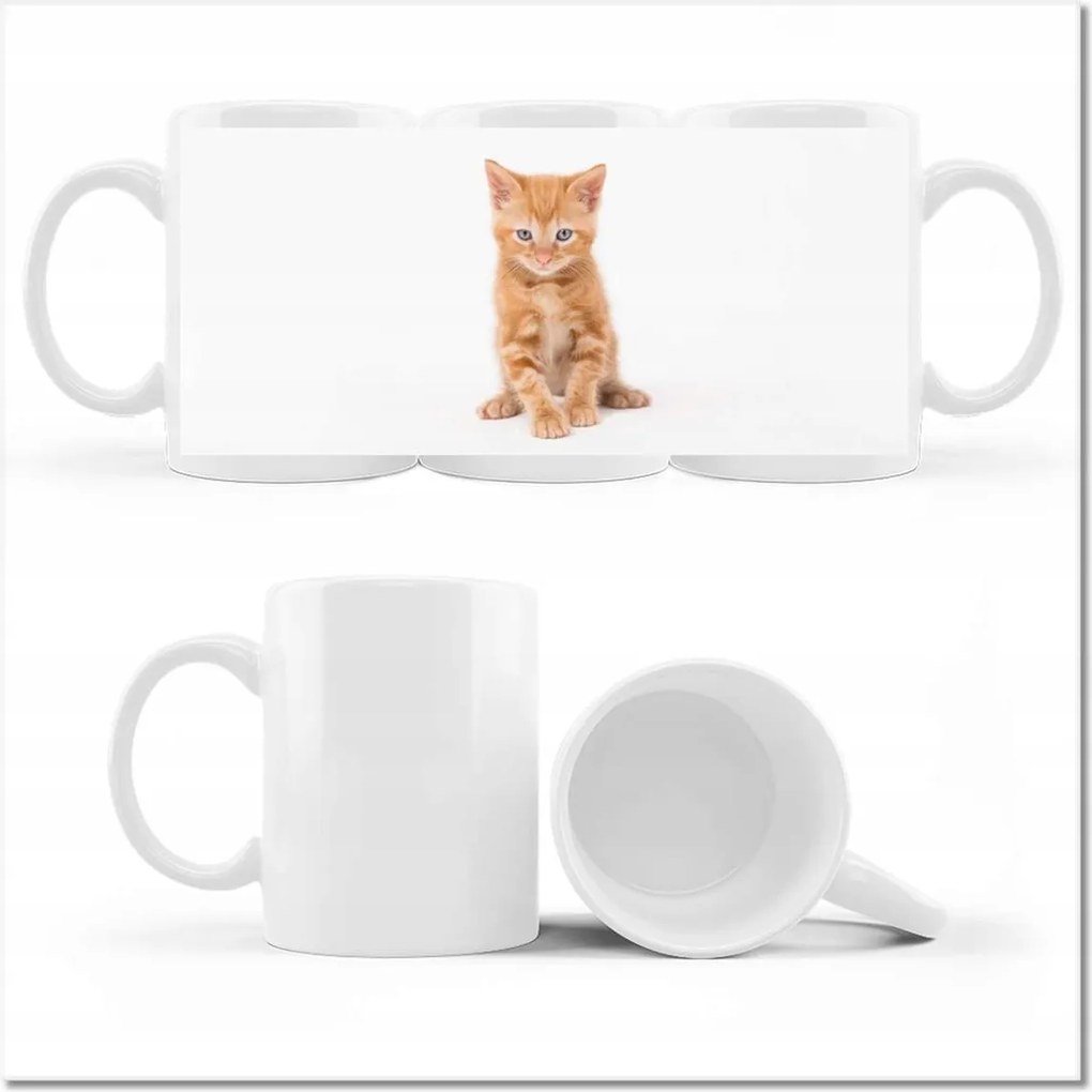 Fotó bögre Macska Cicák