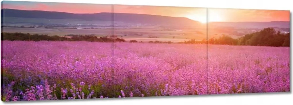 Vászonkép 60x20 Nyugaton változatlan