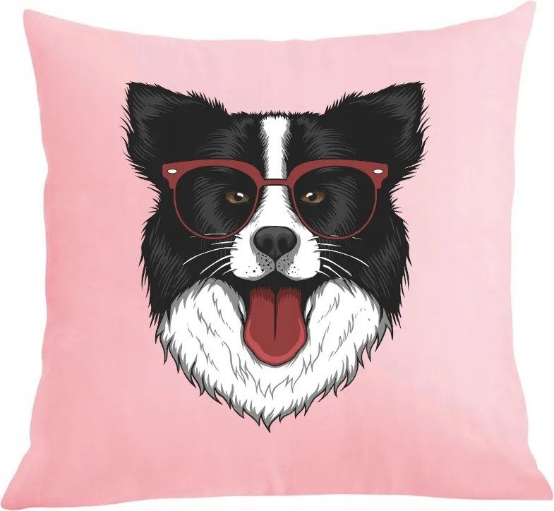 Párna párnahuzat Border Collie Kutya mintás