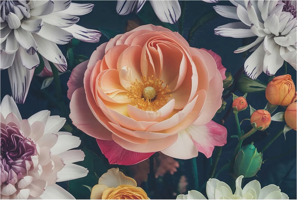 Fotótapéta Flizelin Fali Ragasztó Szett Virágos harmónia 104x70 Ragasztó