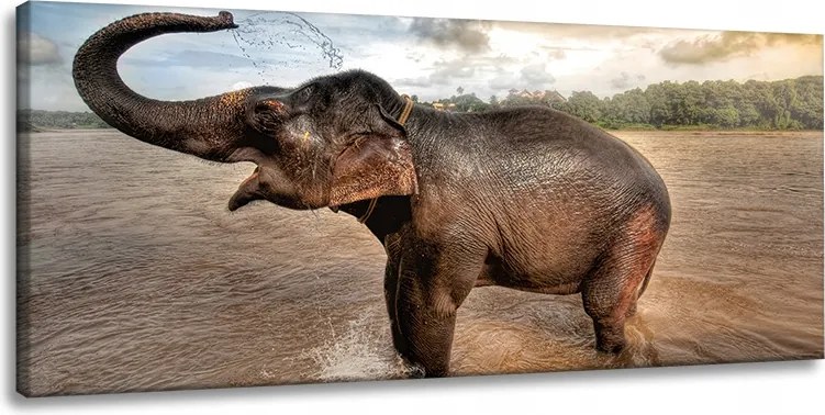 Vászonkép Elefánt Víz Felhők Természet Fürdés 120x60 cm