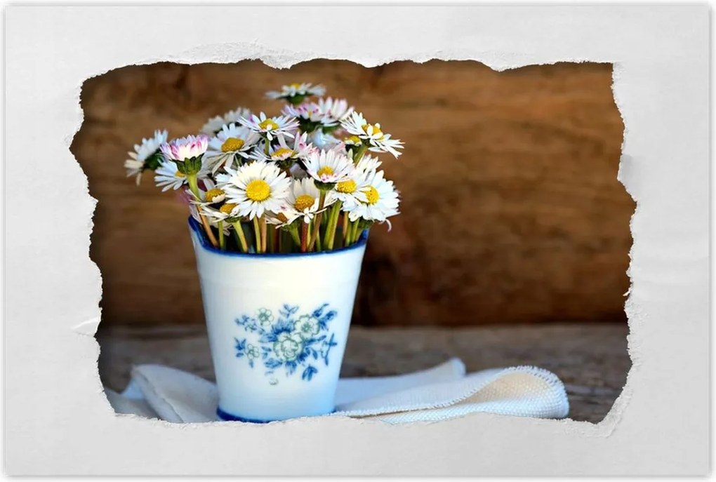 Poszterek 60x40 Reggeli margaréták