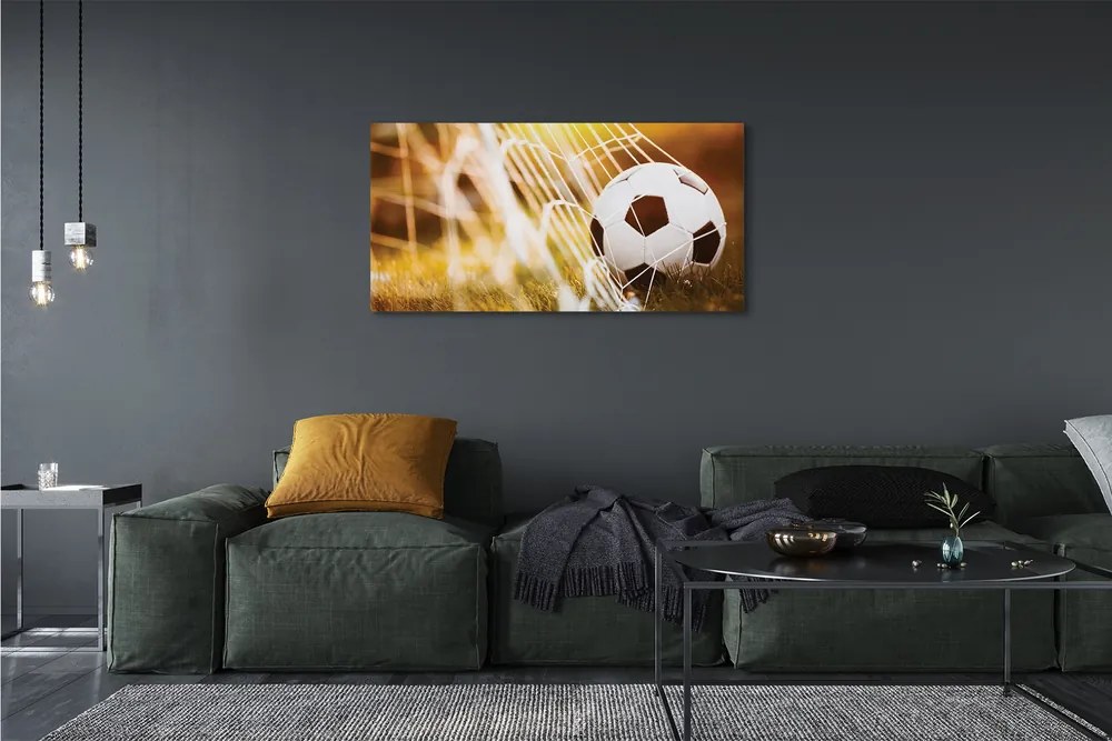 Canvas képek A labda sárga fű háttér 125x50 cm