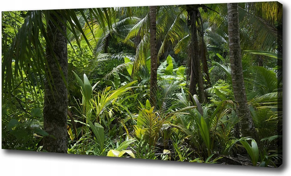 Vászonkép Trópusi erdő 120x60 cm