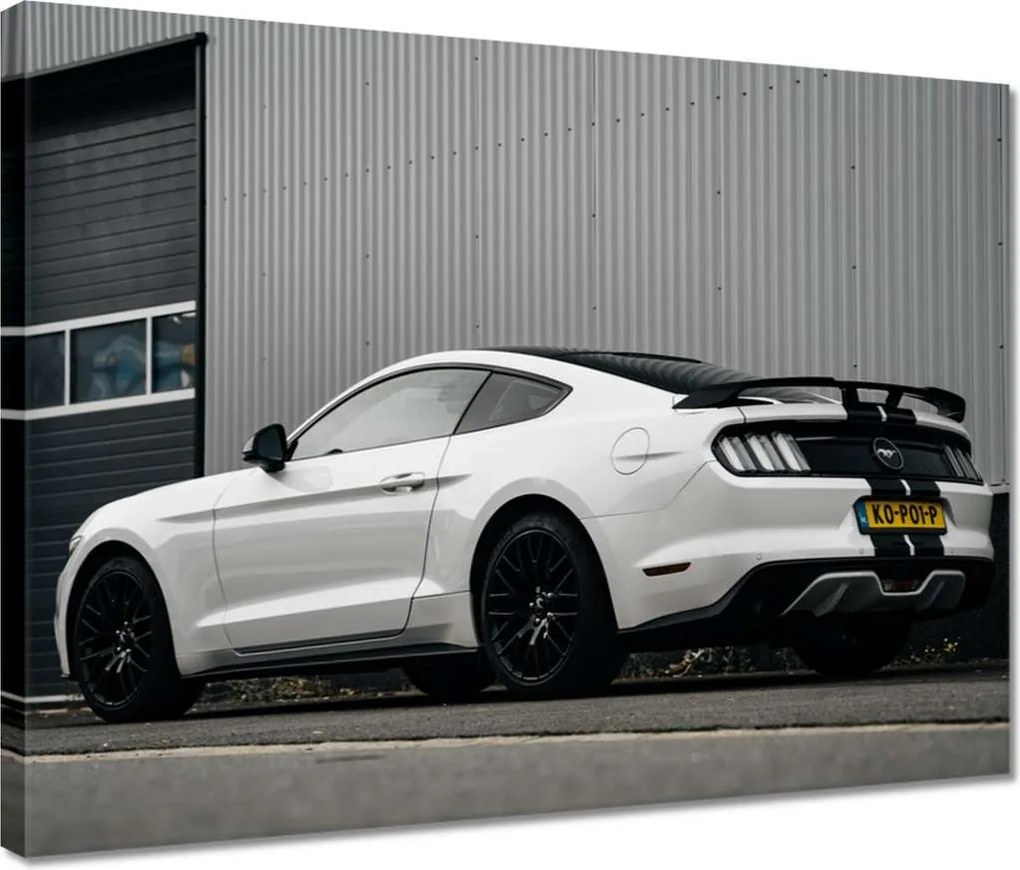 Vászonkép 40x30 Ford Mustang biztonsági övvel