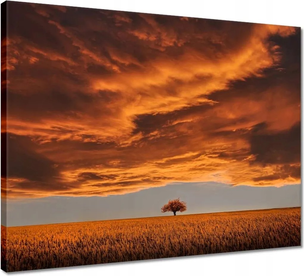 Vászonkép 50x40 Narancssárga égbolt