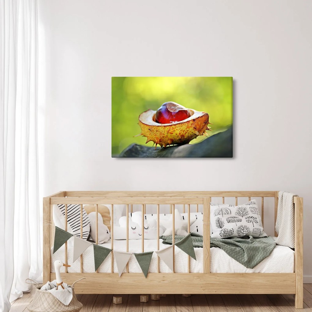 Gesztenye képe (90x60 cm)