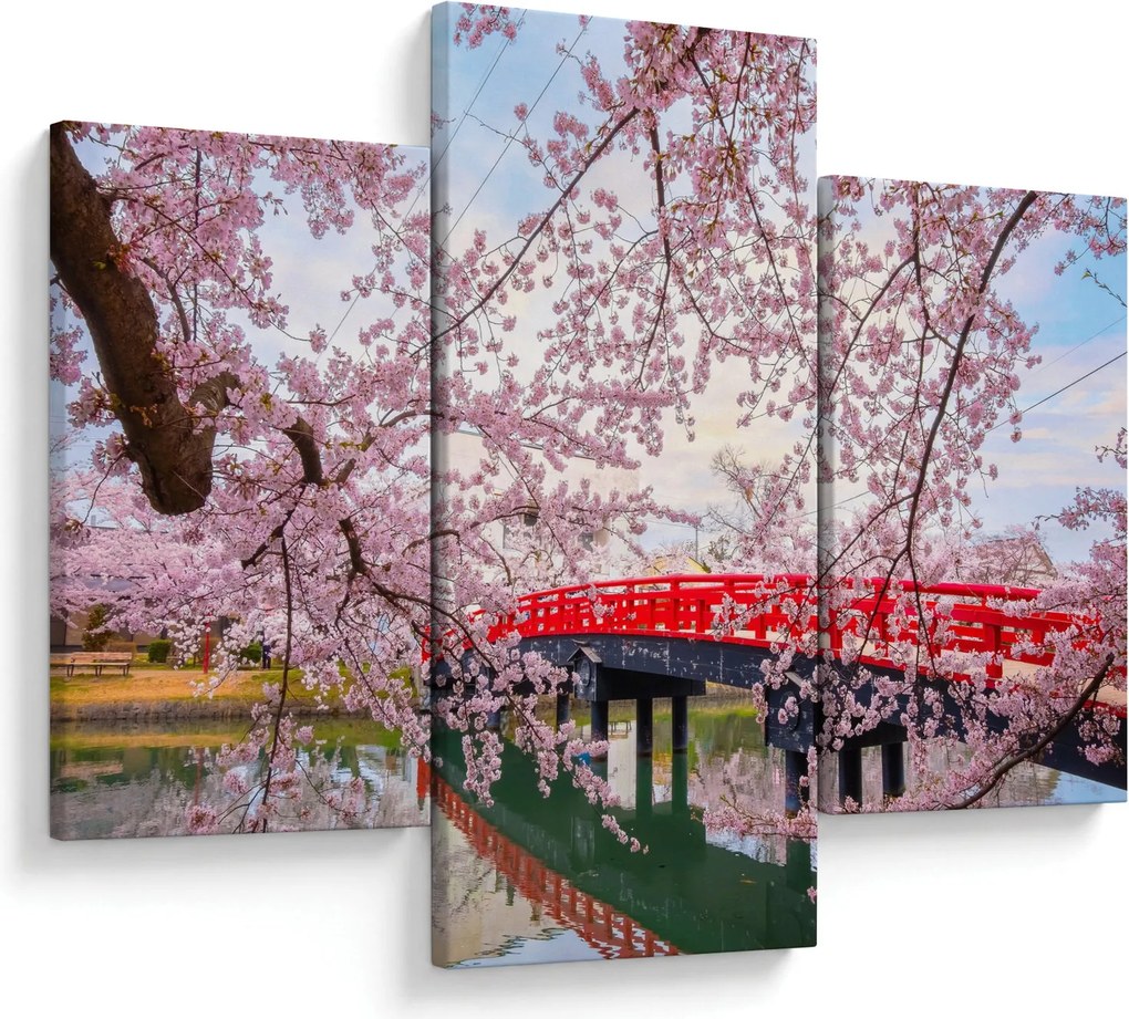 Kép - Hirosaki, Japán (90x60 cm)