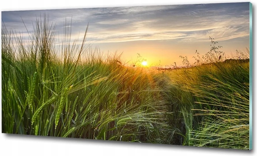 Fotó kép edzett üveg Naplemente 125x50