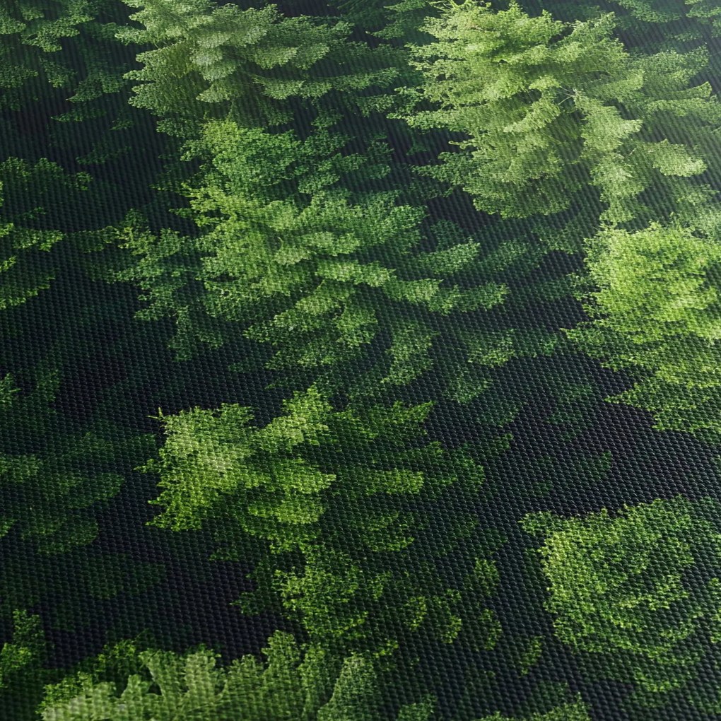 Kép - Forest (órával) (90x30 cm)