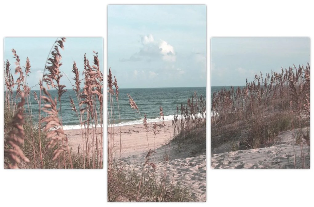 Kép - Rózsaszín strand (90x60 cm)