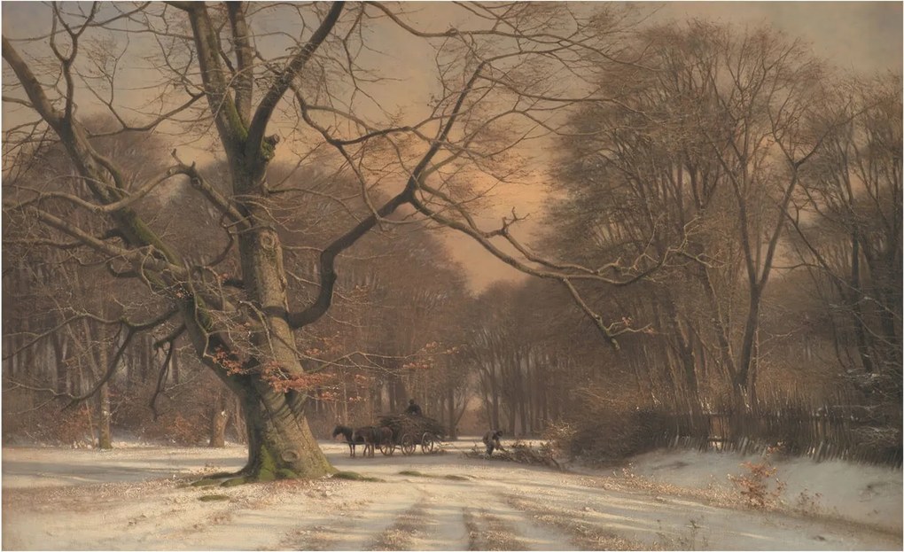 Dekoratív fotótapéta falra Könnyű összeszerelés Téli tájkép 416x254 Ragasztó