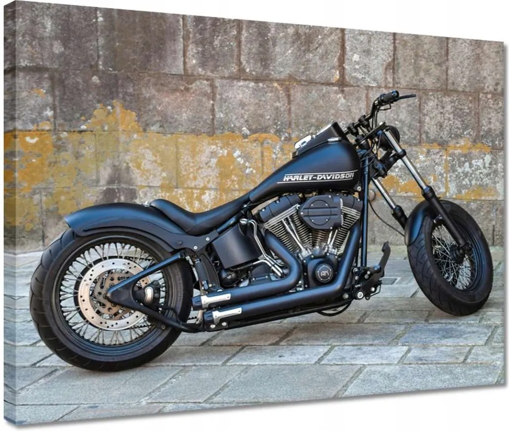 Vászonkép 40x30 Harley Davidson Motorkerékpár
