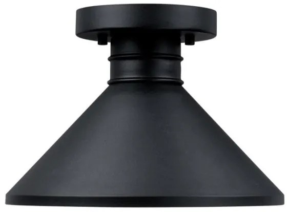 Westinghouse 61238 - Kültéri mennyezeti lámpa WALTER 1xE27/60W/230V IP44