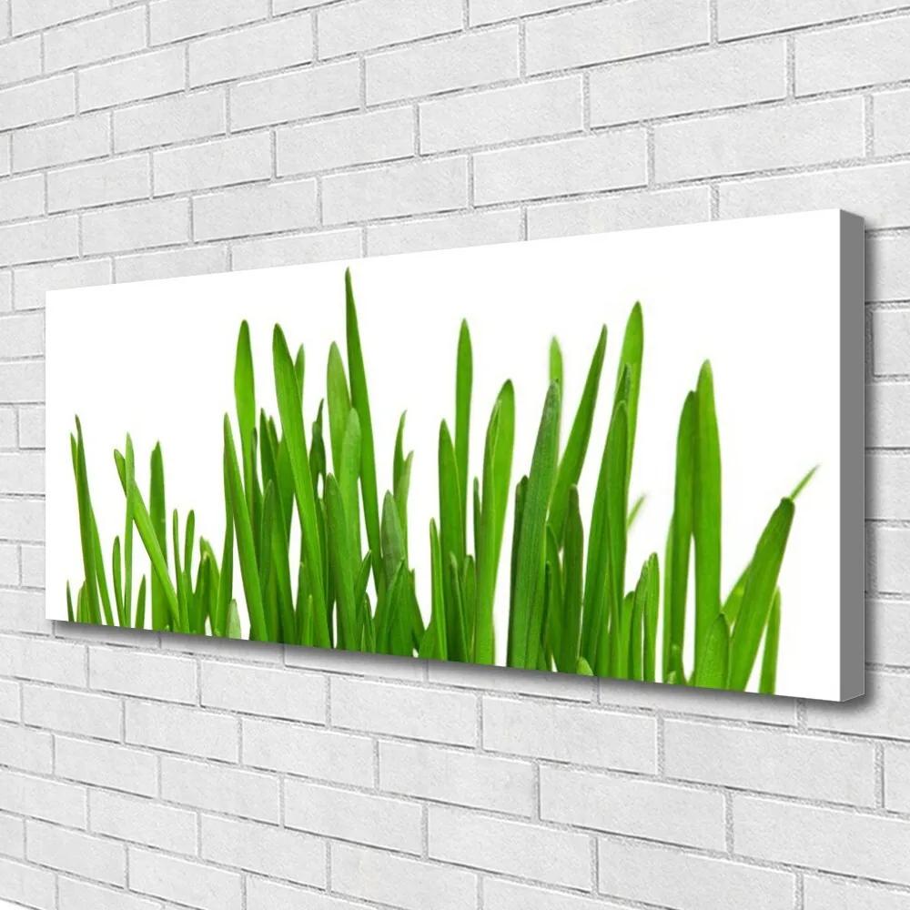 Vászonfotó Grass A Wall 125x50 cm