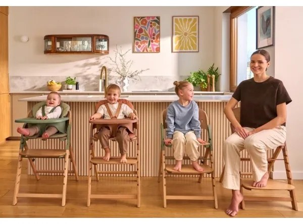 Lionelo - Gyermek etetőszék 3 az 1-ben MEGAN Szürke fa