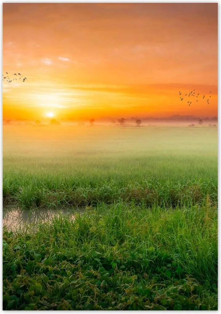 Poszterek 70x100 Napfelkelte Ébredés