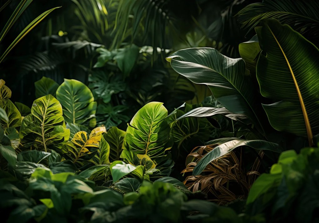 Poszter 100x70cm A természet eldugott zuga