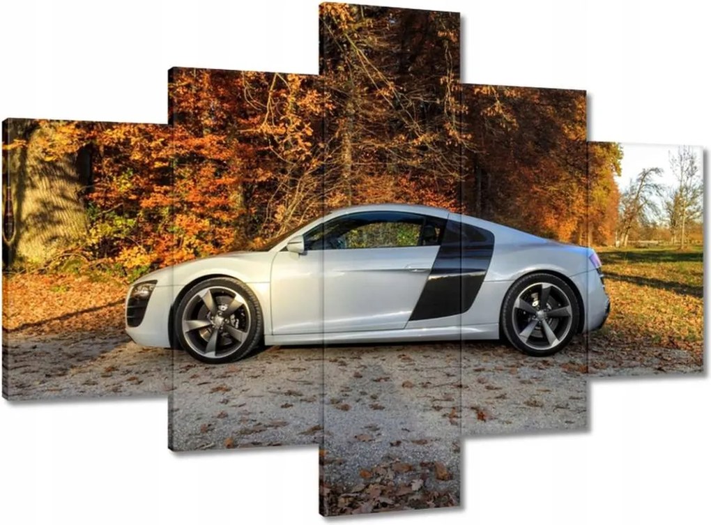 Vászonkép 100x70 Őszi Audi Autó