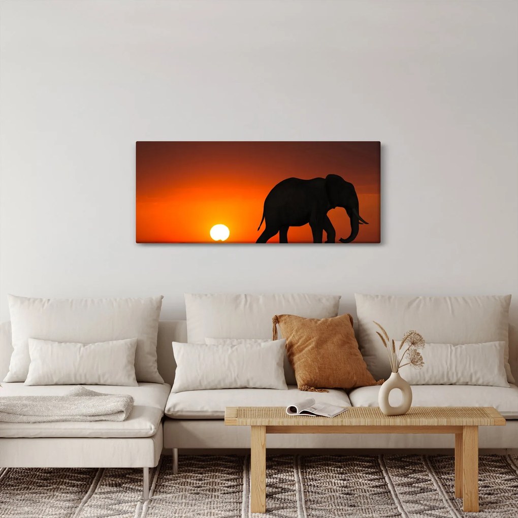 Elefánt képe naplementekor (120x50 cm)