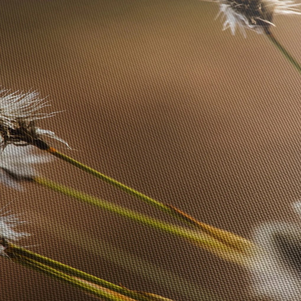 Kép - Fű (120x50 cm)