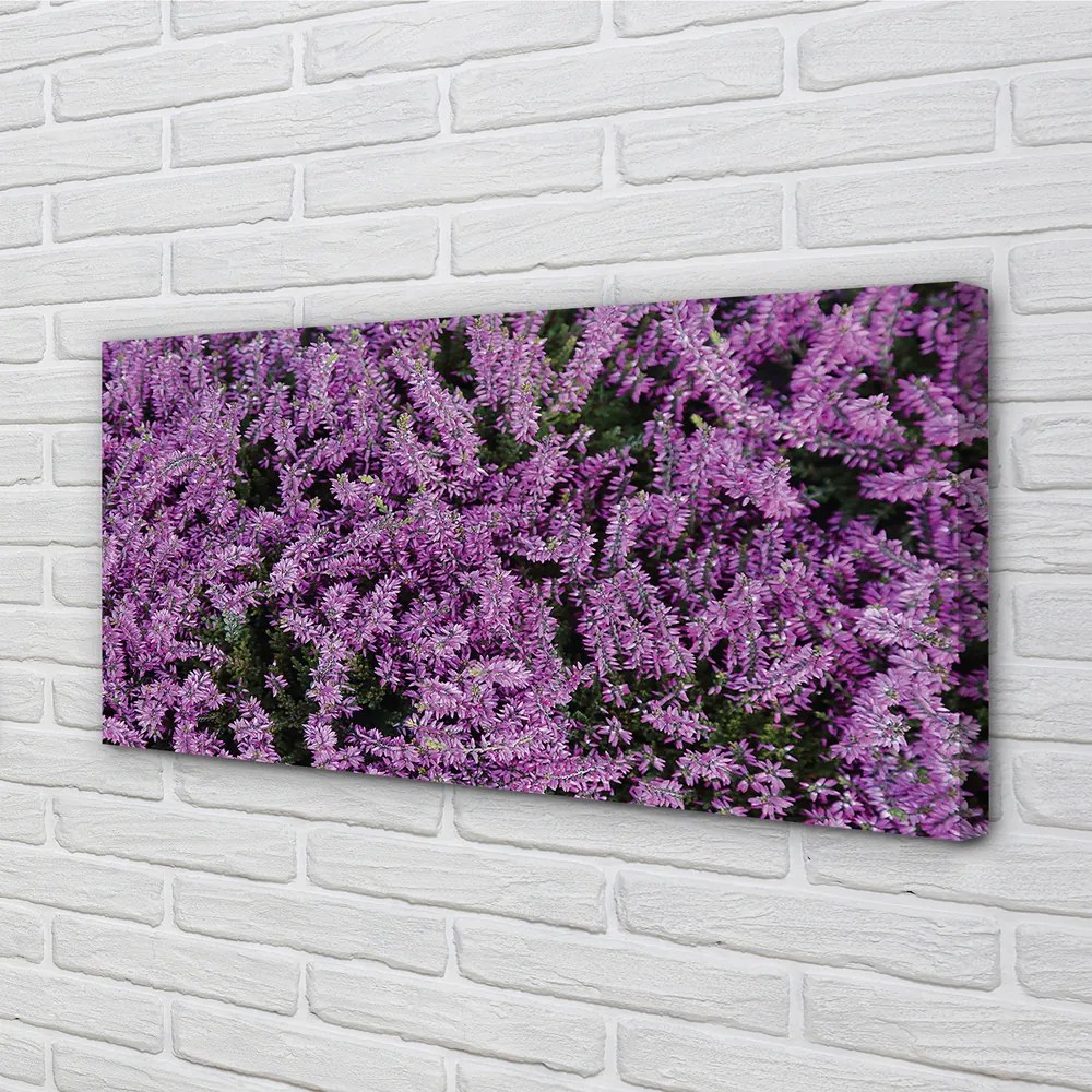 Canvas képek lila virágok 140x70 cm
