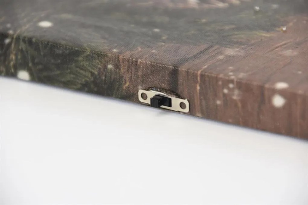 Fali kép Macska egy lámpa előtt  30 x 40 cm