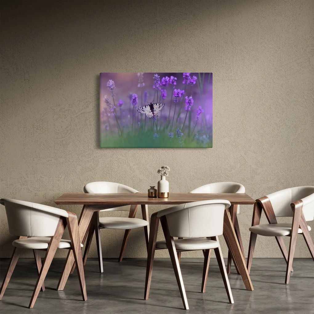 Kép - Pillangó a levendulán (90x60 cm)