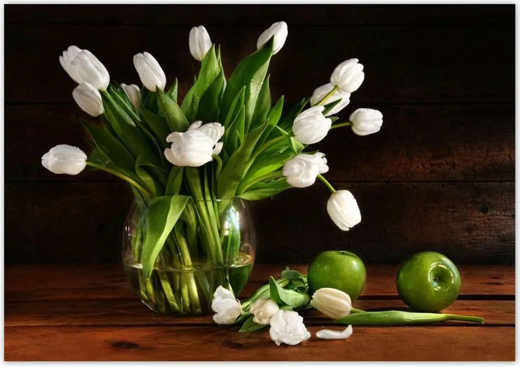 Poszterek 100x70 Fehér tulipánok Sötét háttér