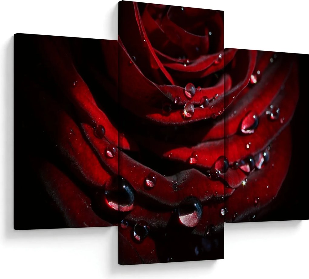 Kép - Rózsa részlete (90x60 cm)