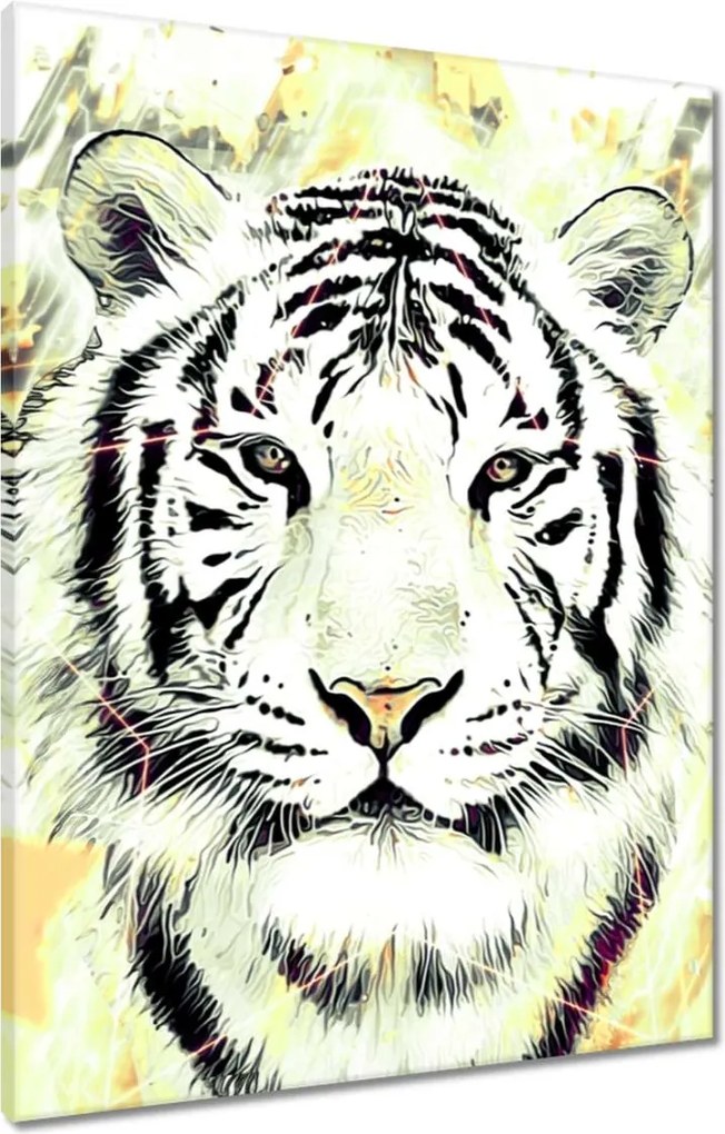 Vászonkép 60x80 Tigrisfej Csillagok
