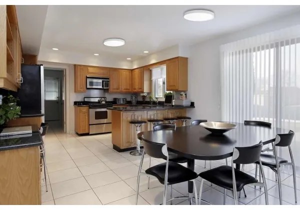 LED Mennyezeti lámpa SAMER LED/24W/230V 4000K