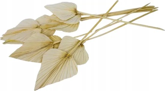 3db Szárított levél Természetes Virágos Adalék Szív 12x15cm hosszú kb50