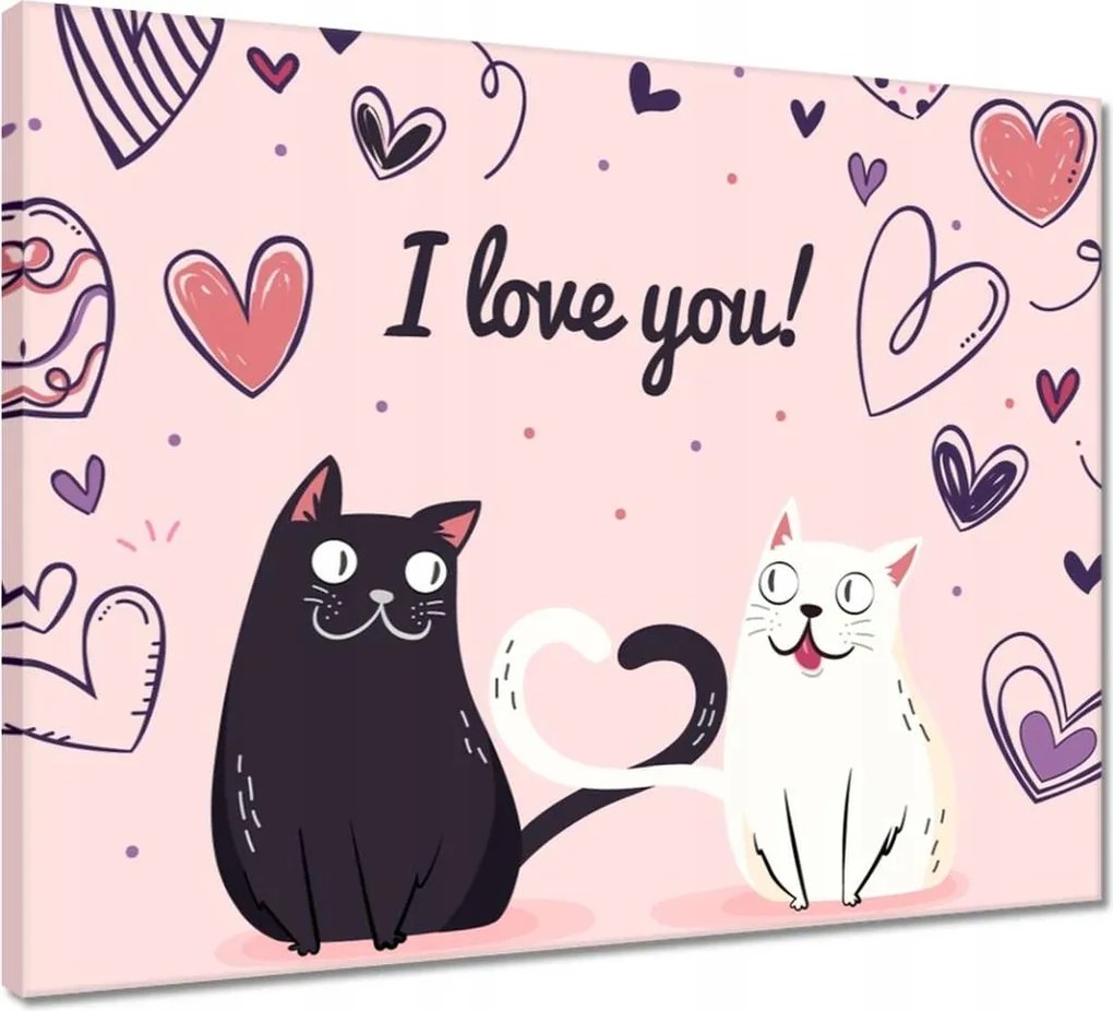 Vászonkép 50x40 Cica