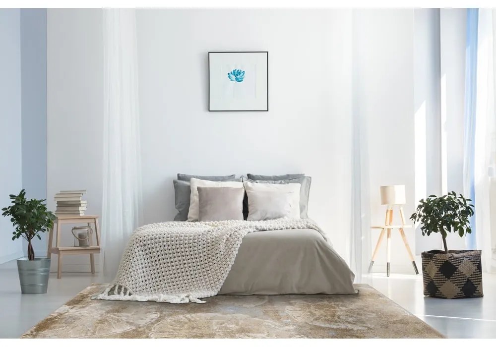 Bézs szőnyeg 80x120 cm Avanti – FD