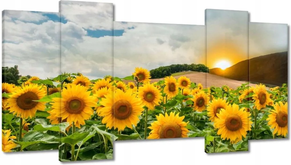 Festmények 120x65 Tájkép Napraforgók