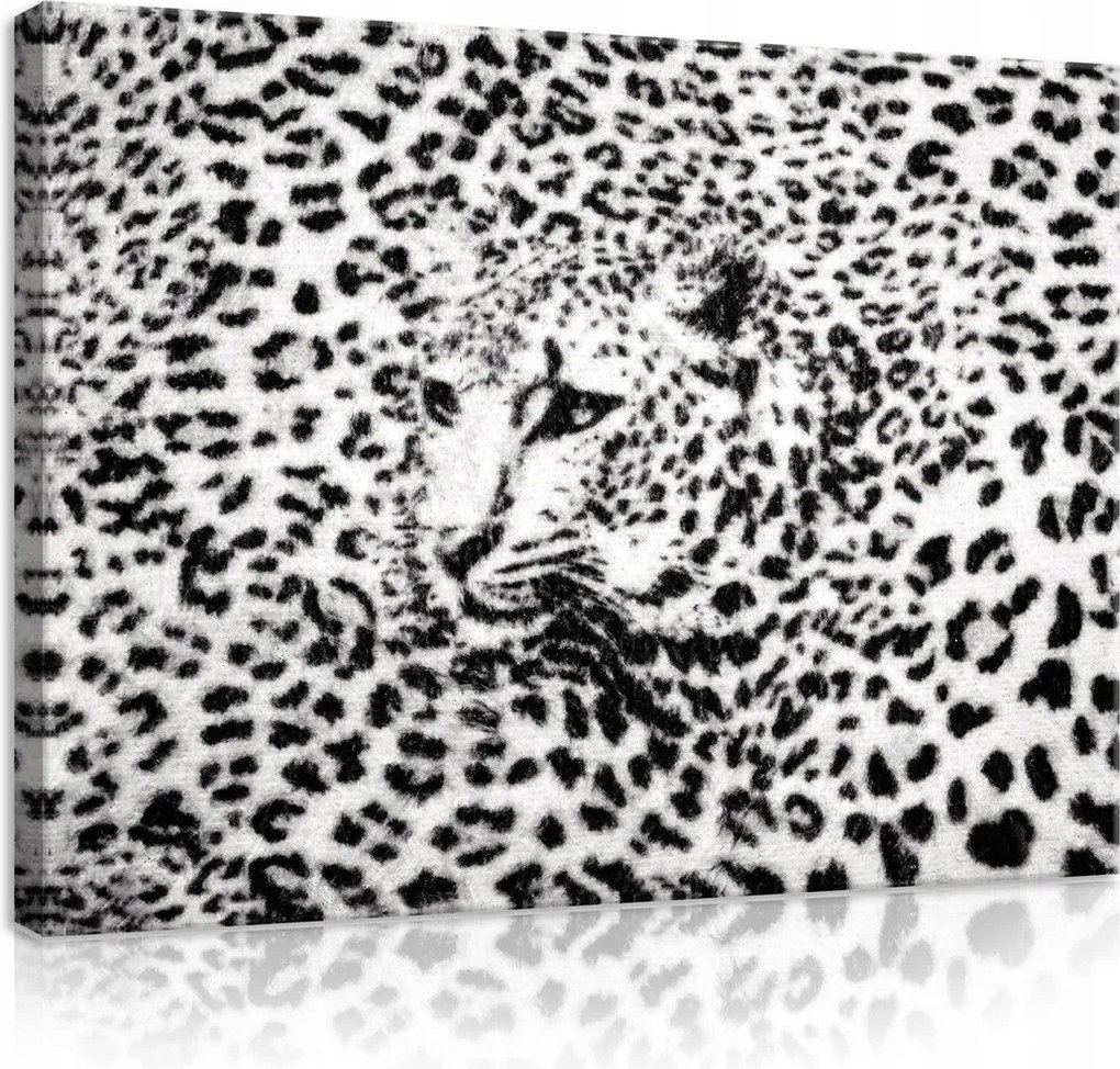 Vászonkép 100x75 Nagy macska leopárd jaguár pöttyös ragadozó vad természet