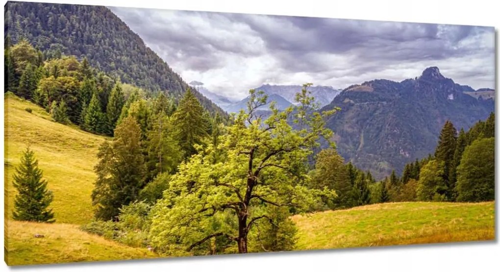 Festmények 115x55 Fa az égig