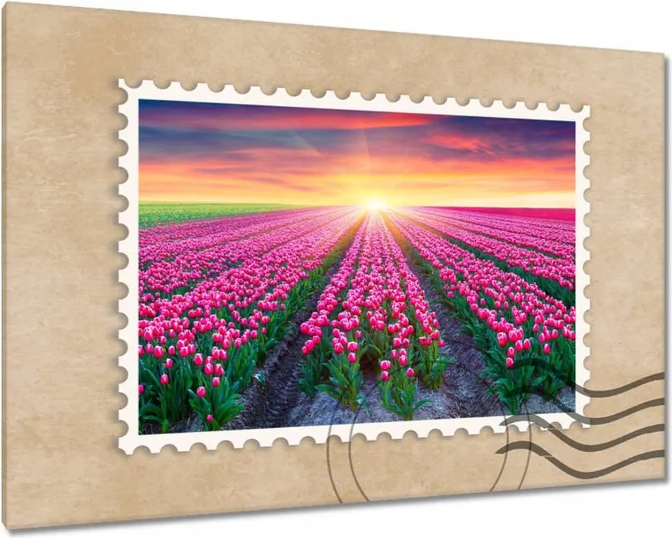 Vászonkép 60x40 Tulipánok tengere Virágok